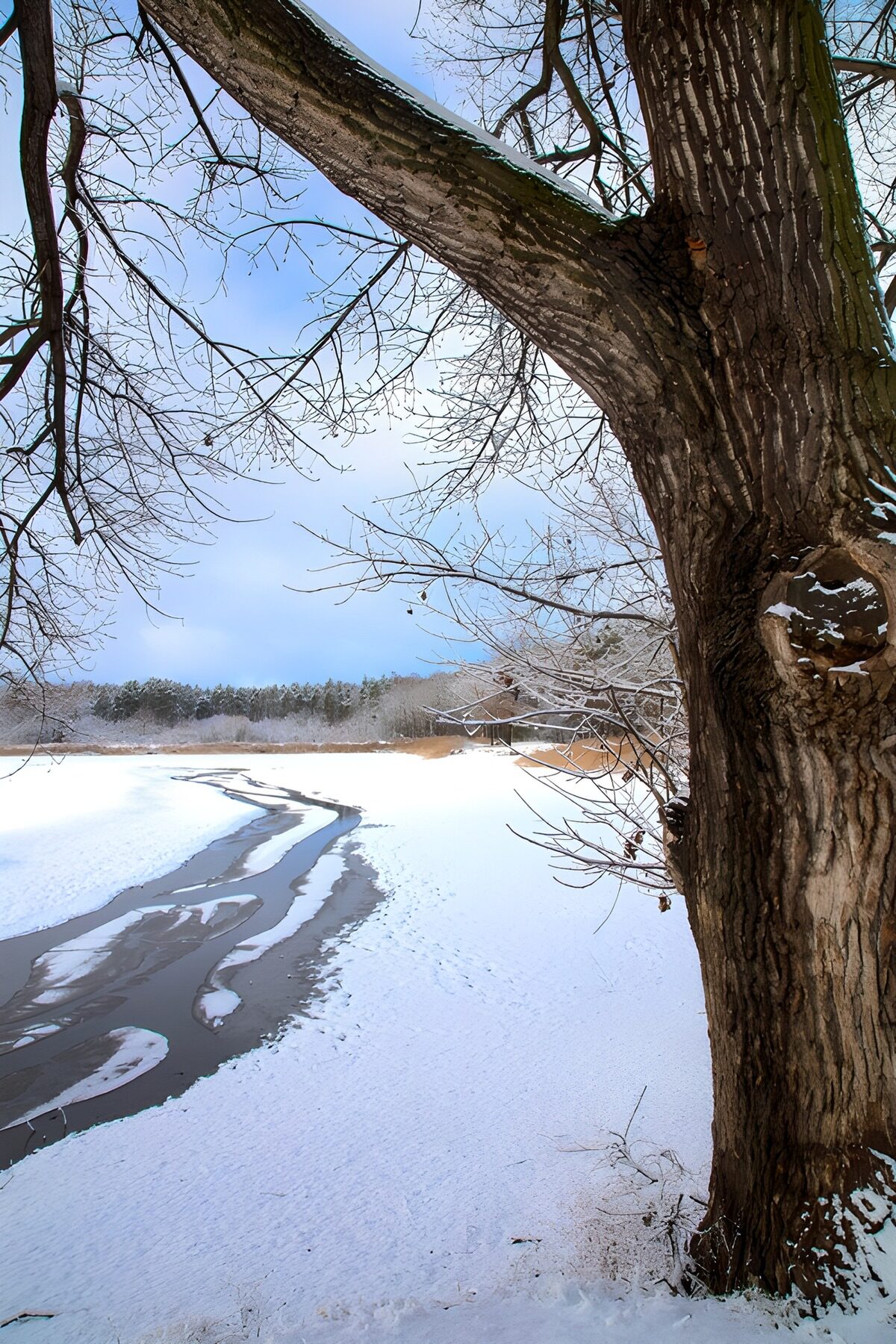 Sneeuwlandschap met boom en rivier