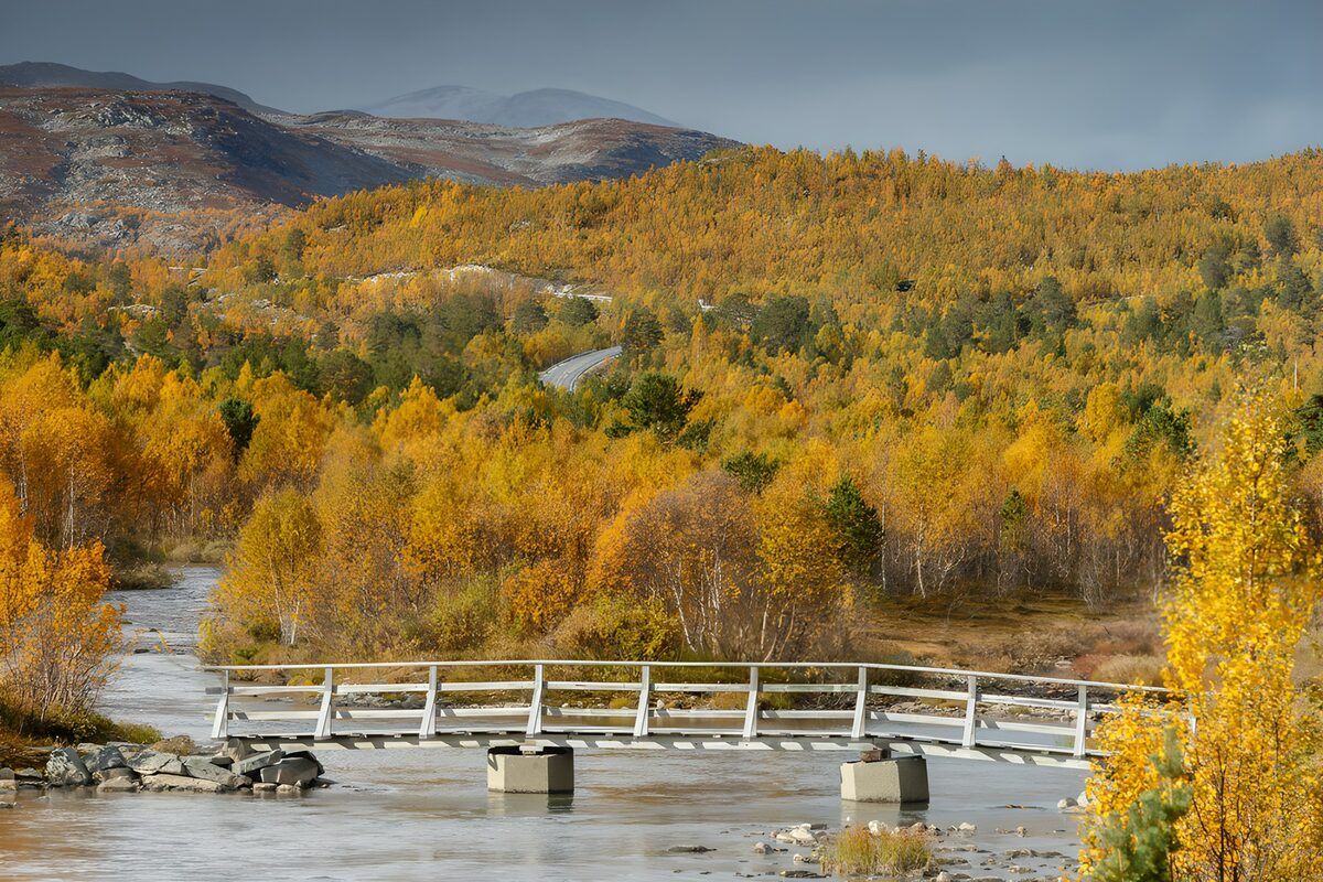Prachtig herfstlandschap met brug