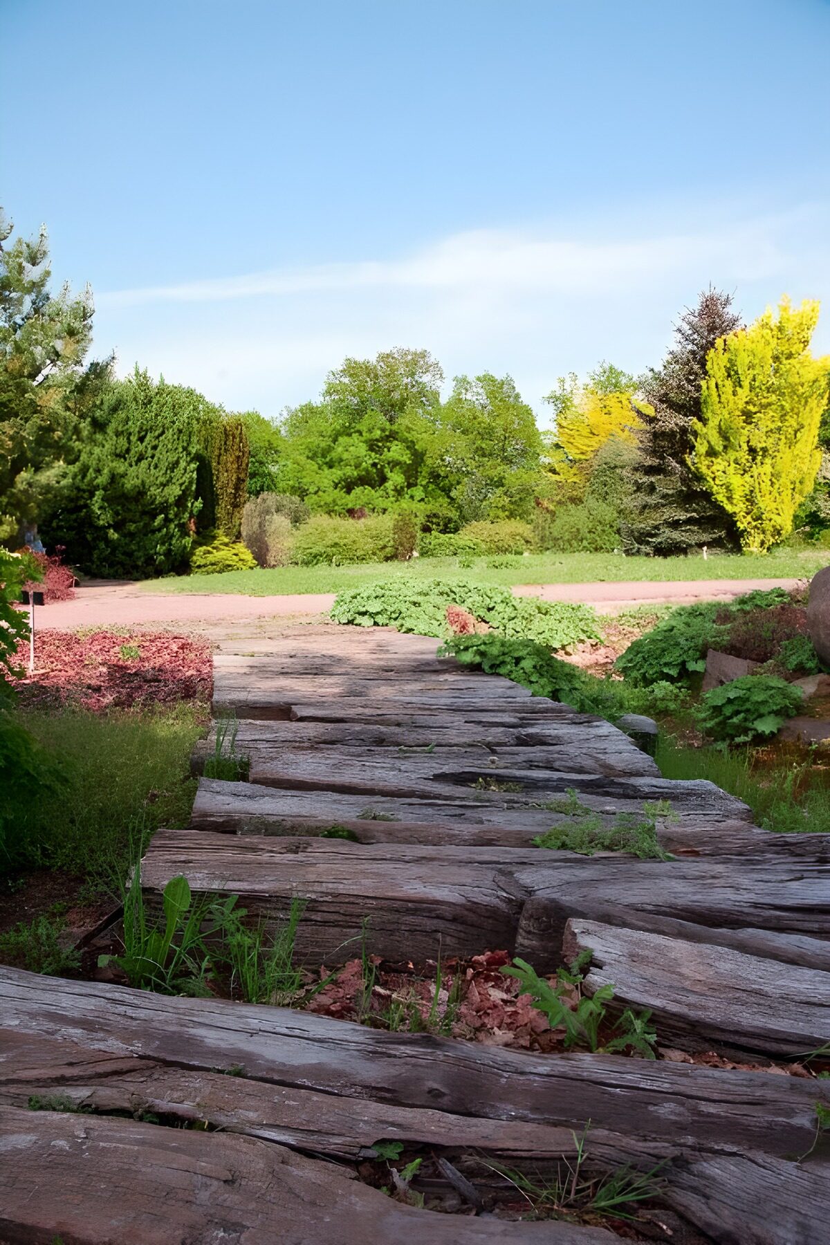 Natuurlijke houten loopbrug in de tuin
