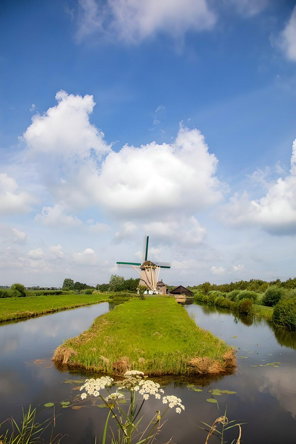 Traditionele molen in een groene omgeving