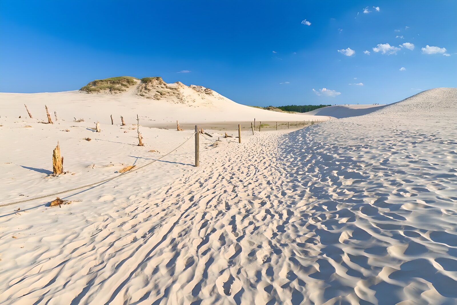 TP56254: Strandpad door de duinen