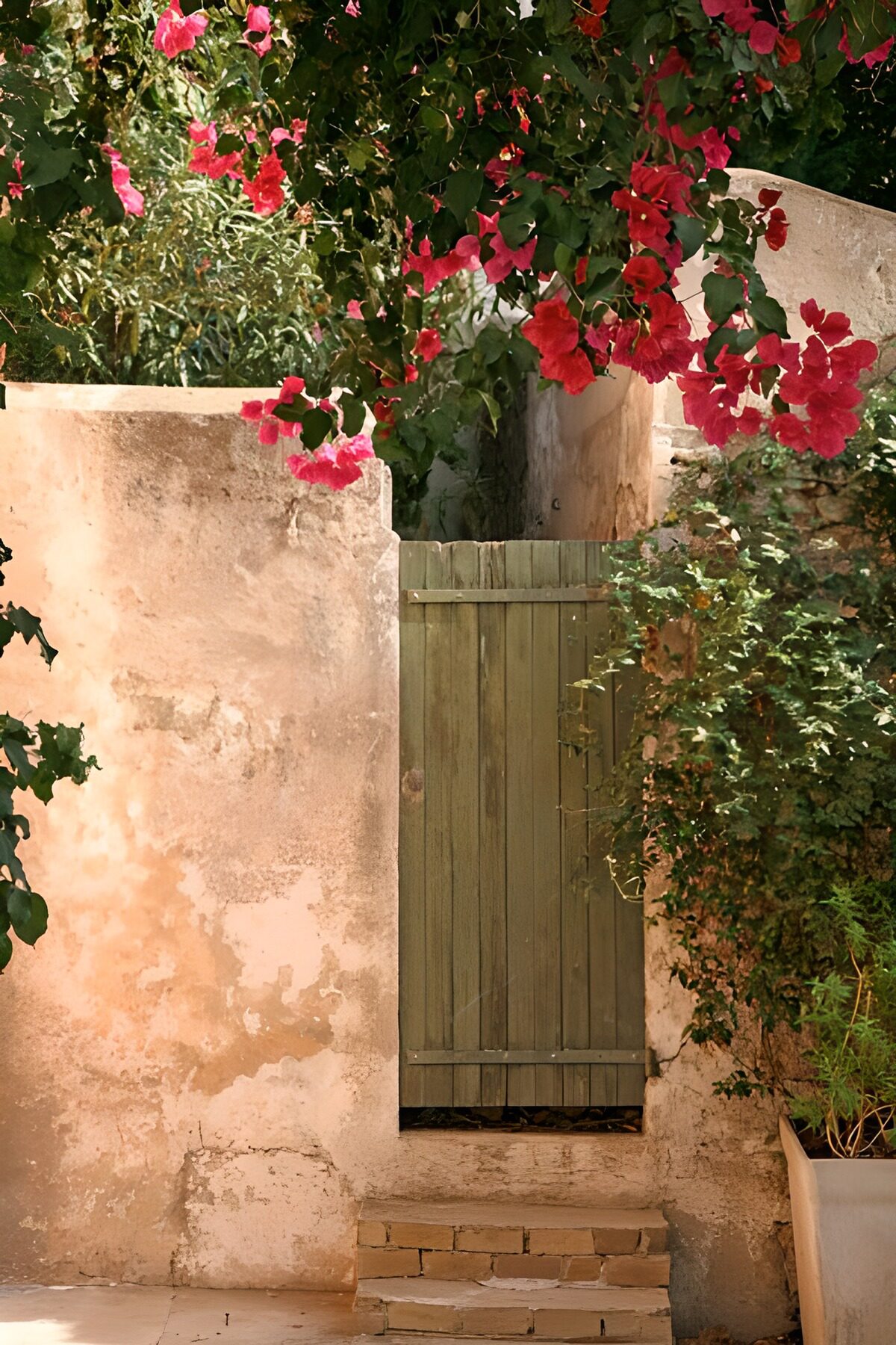 TP17751: Houten deur met muur en bloemen 1