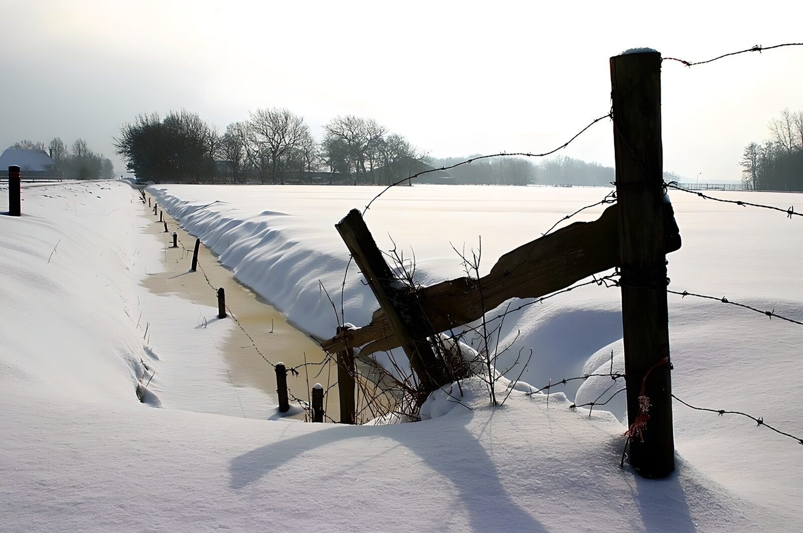 TP86787: Besneeuwd landschap met prikkeldraad