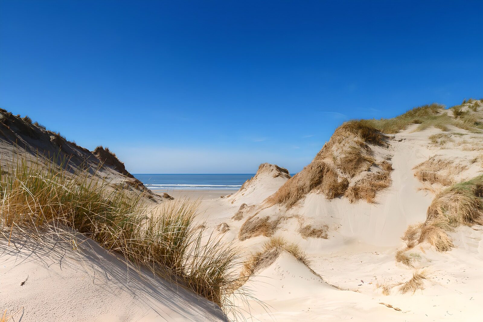 TP66757: Zandduinen bij de Zee