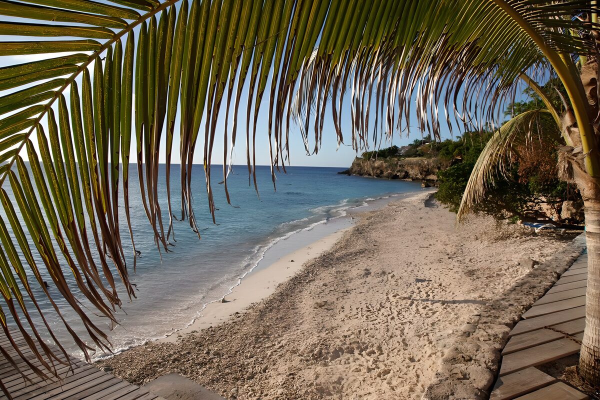 TP41168: Tropisch strand met palmbomen