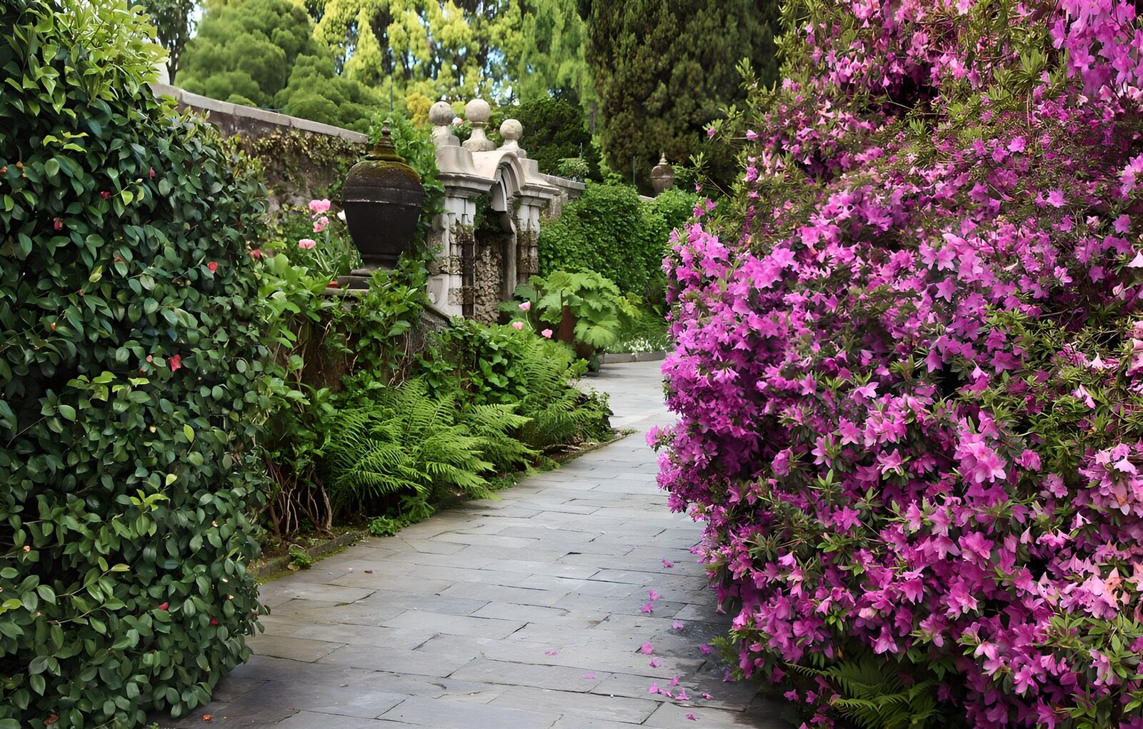 TP83140: Bloeiende tuinpad met roze azalea's