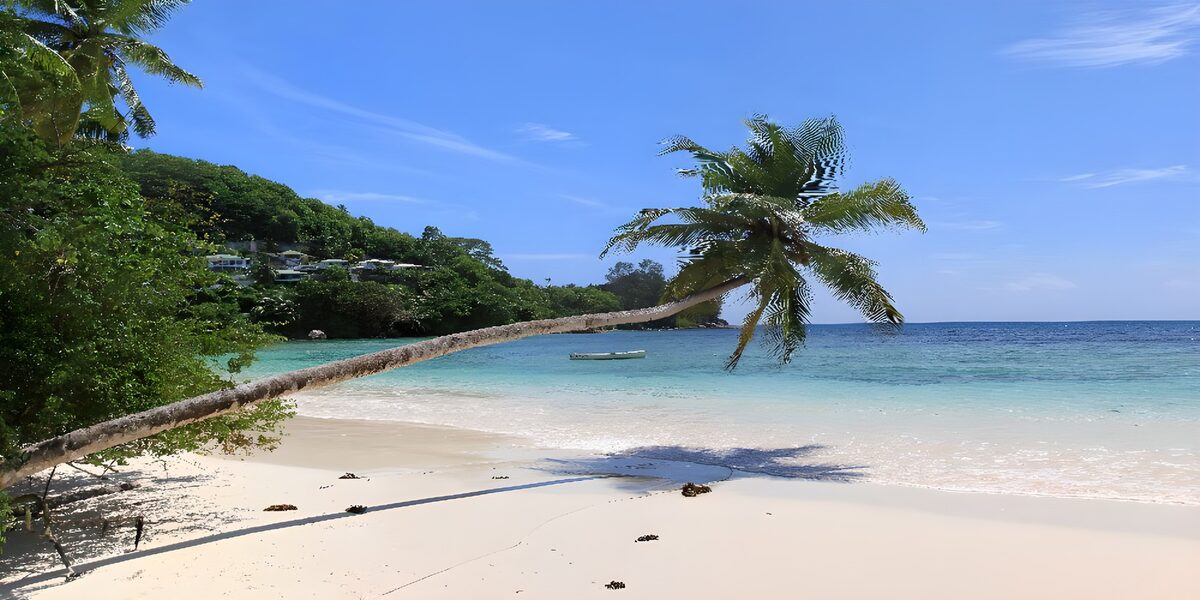 TP73608: Tropisch strand met palmbomen