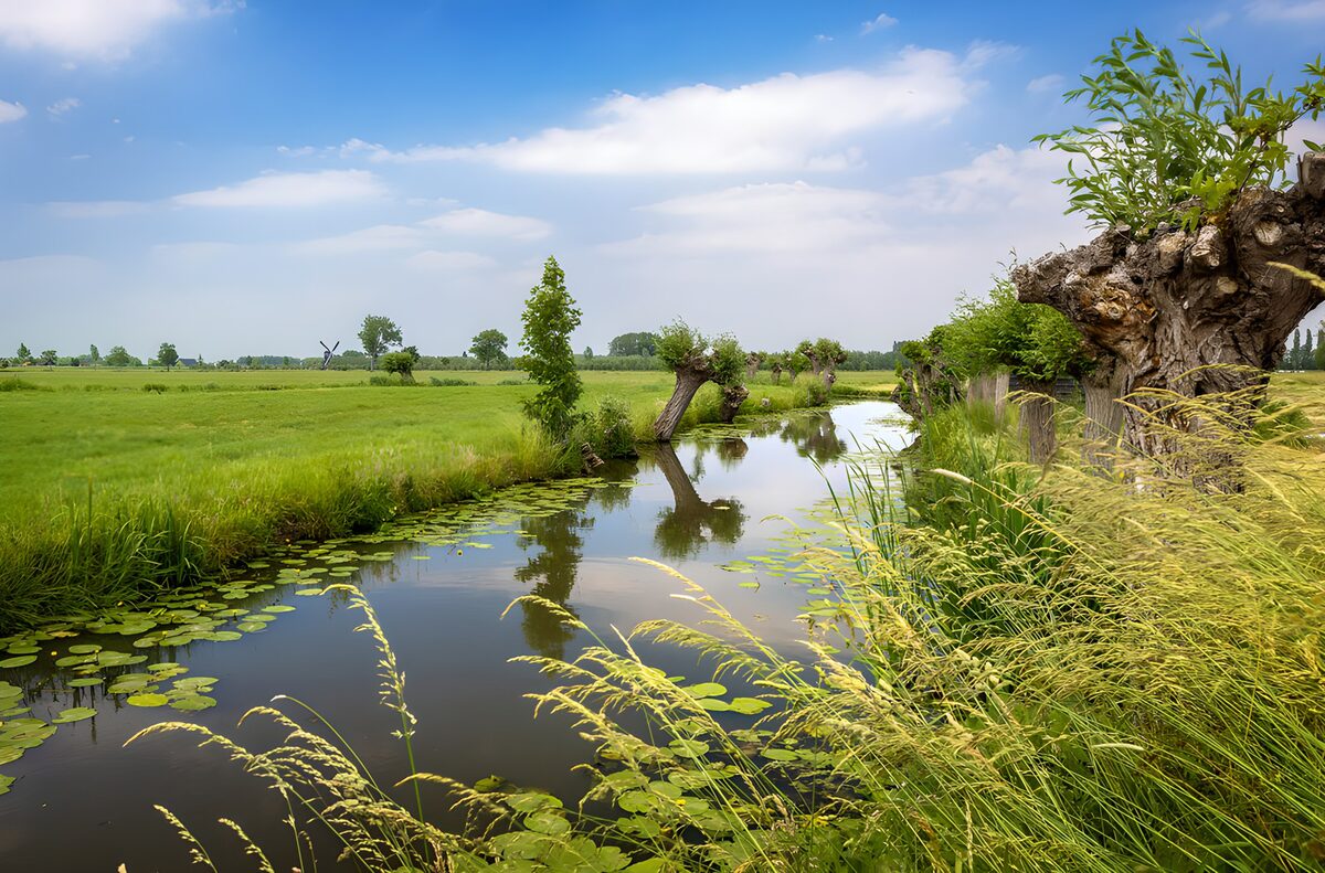 TP62332: Rustige Landschap bij de Waterkant