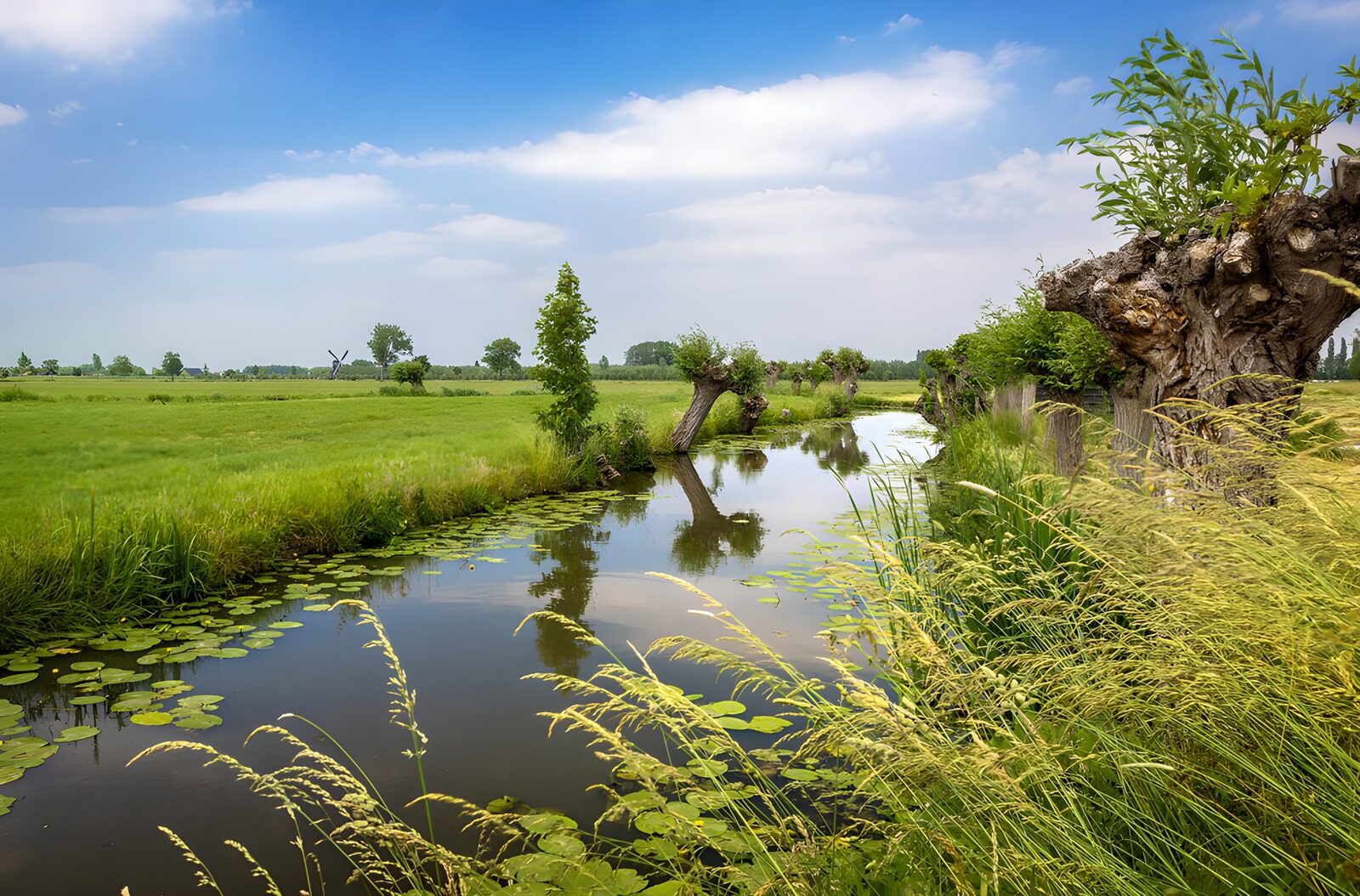 TP62332: Rustige Landschap bij de Waterkant