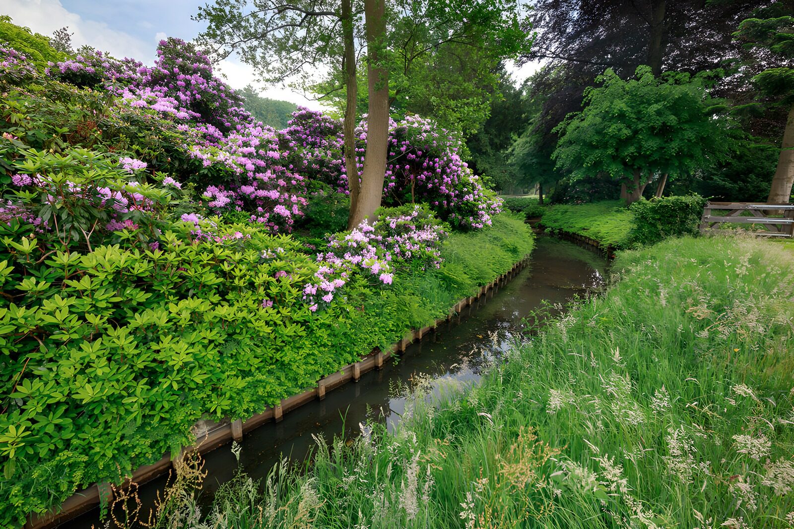 TP83944: Bloeiende natuur langs een beek
