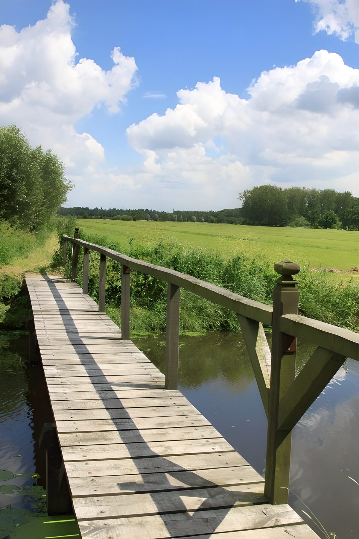 Houten brug over sloot met uitzicht op weiland