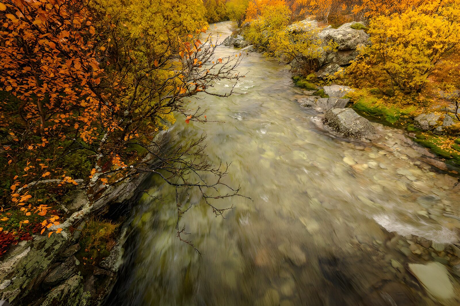 TP22103: Herfst aan de Heldere Rivier