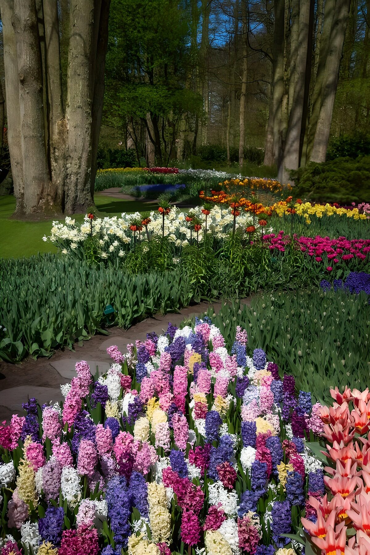 TP93354: Kleurrijke bloementuin in het voorjaar
