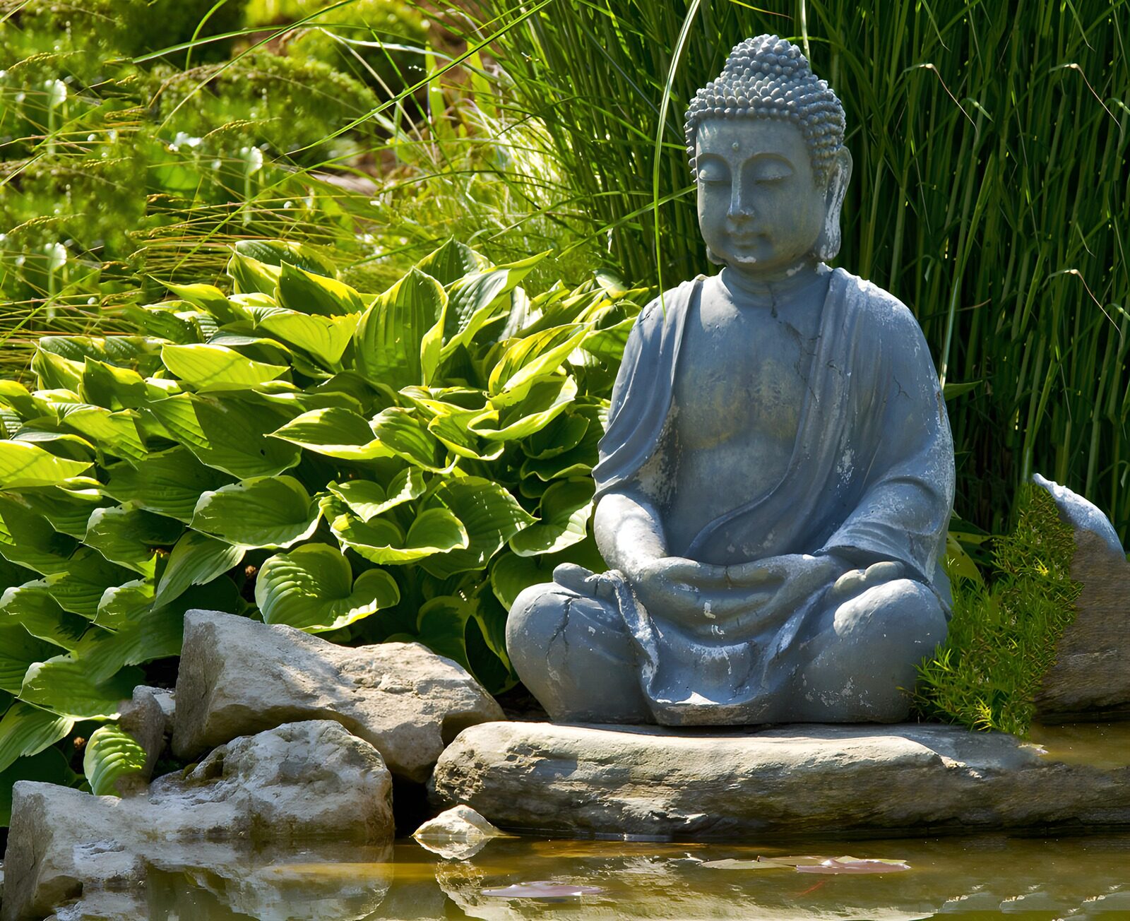 TP36613: Zittende Boeddha in de natuur