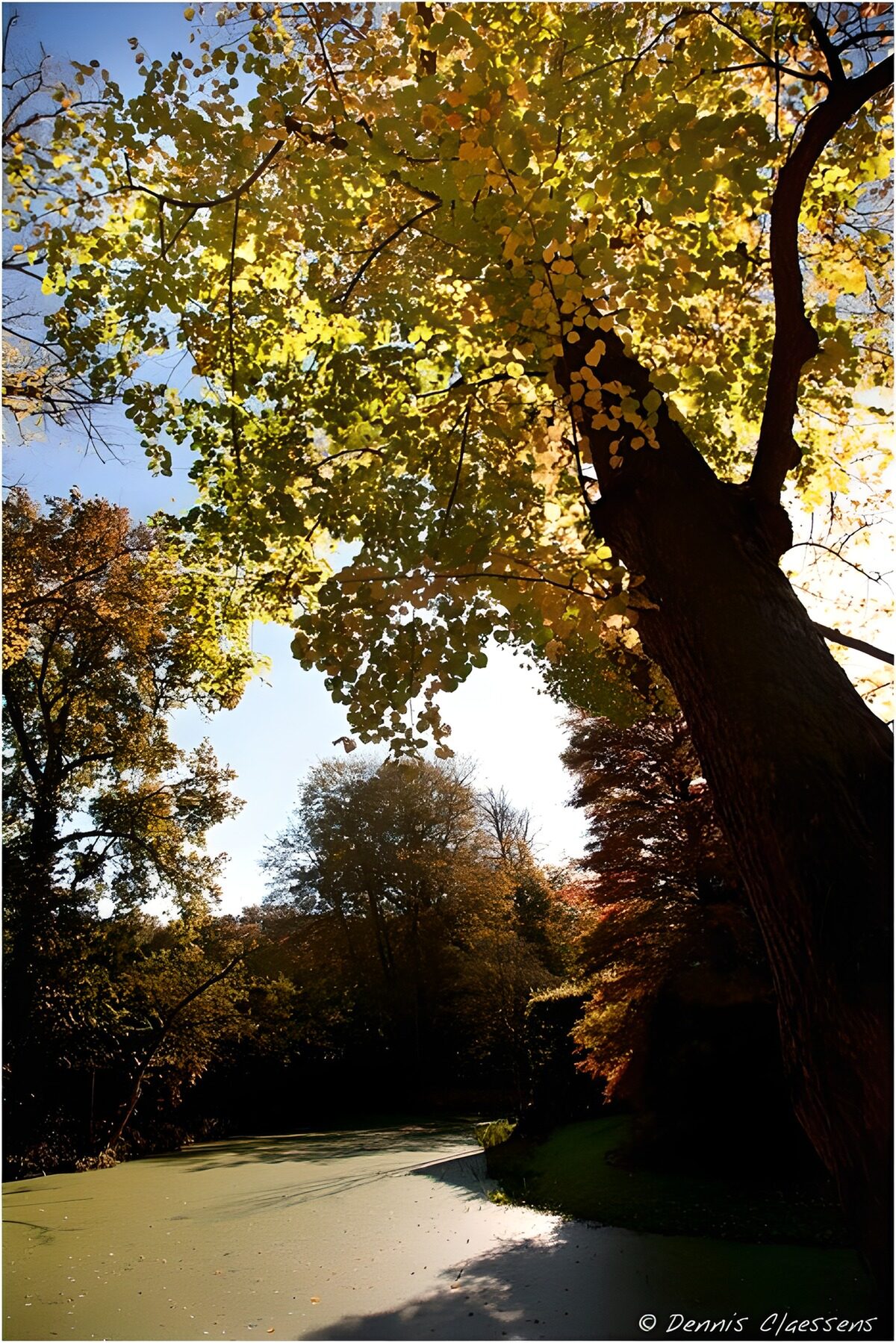 TP50243: Herfstkleuren boven stil water