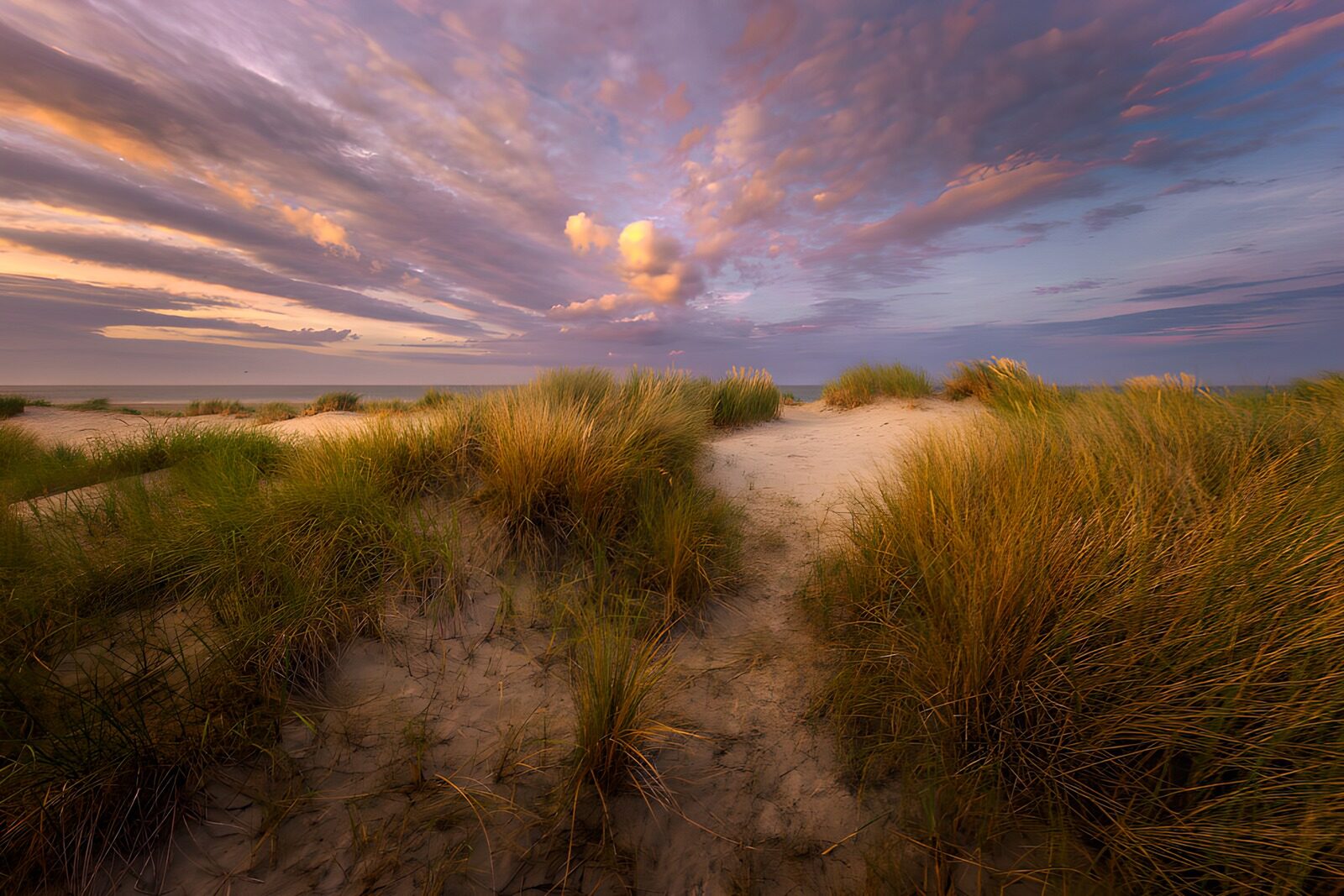 TP42656: Prachtige Zonsondergang boven de Duinen