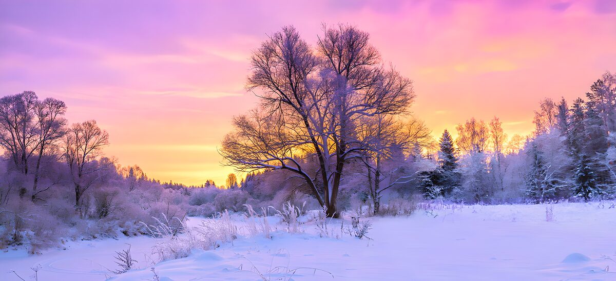 TP57775: Sprookjesachtig winterlandschap bij zonsopgang