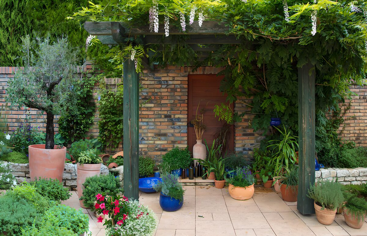 TP14549: Groene oase onder een pergola