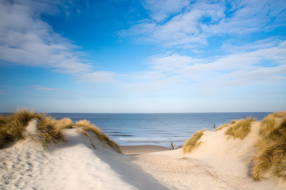 TP54058: Rustige Strandduinen bij Zonsondergang