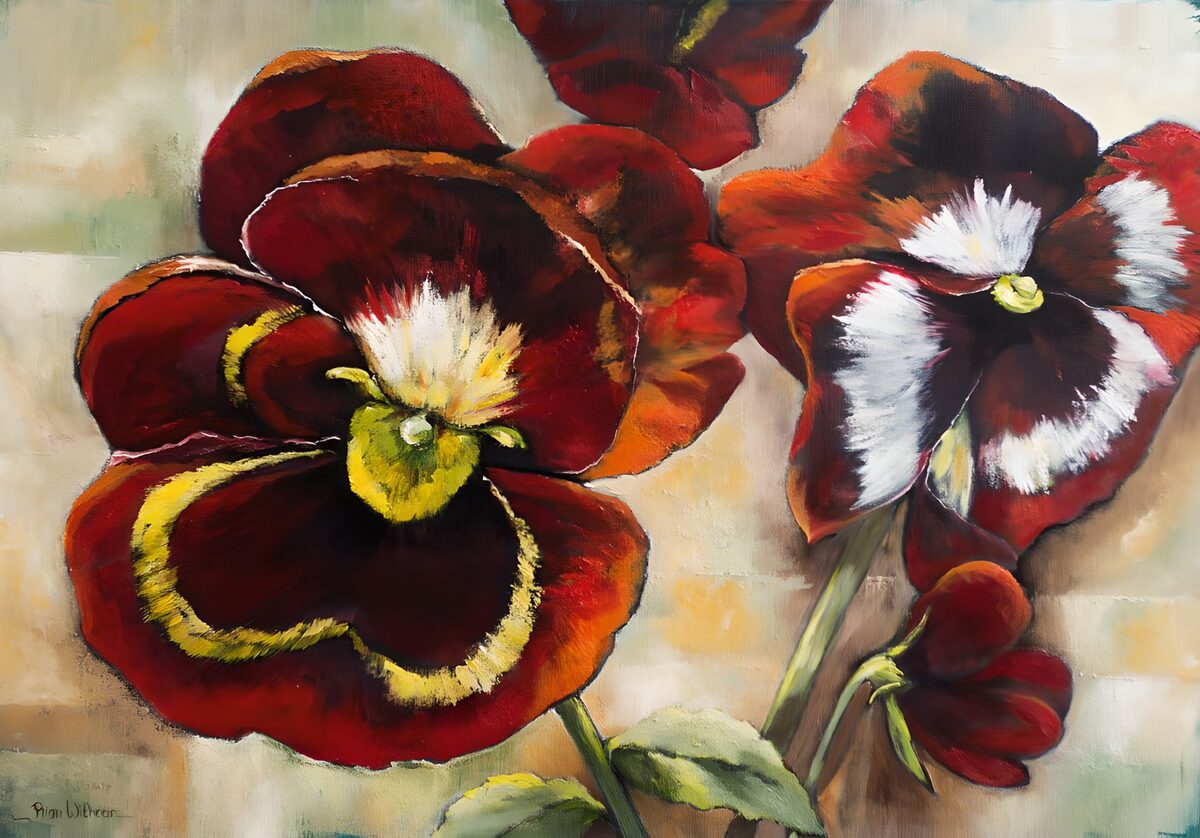 Bloeiende Pansies in Rood en Wit