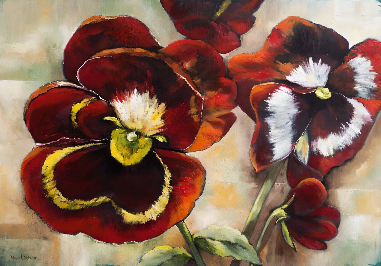 TP86848: Bloeiende Pansies in Rood en Wit