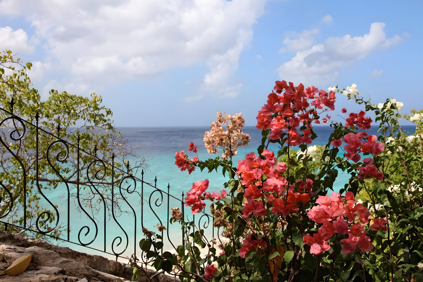 TP57426: Uitkijk met bloemen op Caribische zee