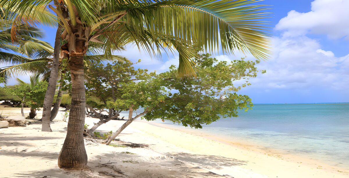 Tropisch strand met palmbomen