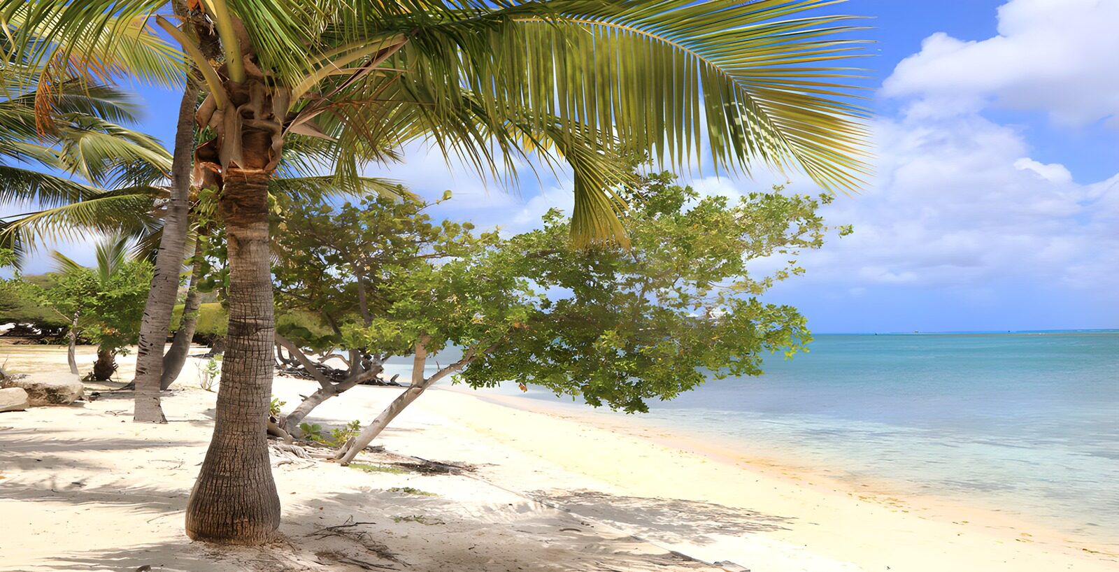 TP22147: Tropisch strand met palmbomen