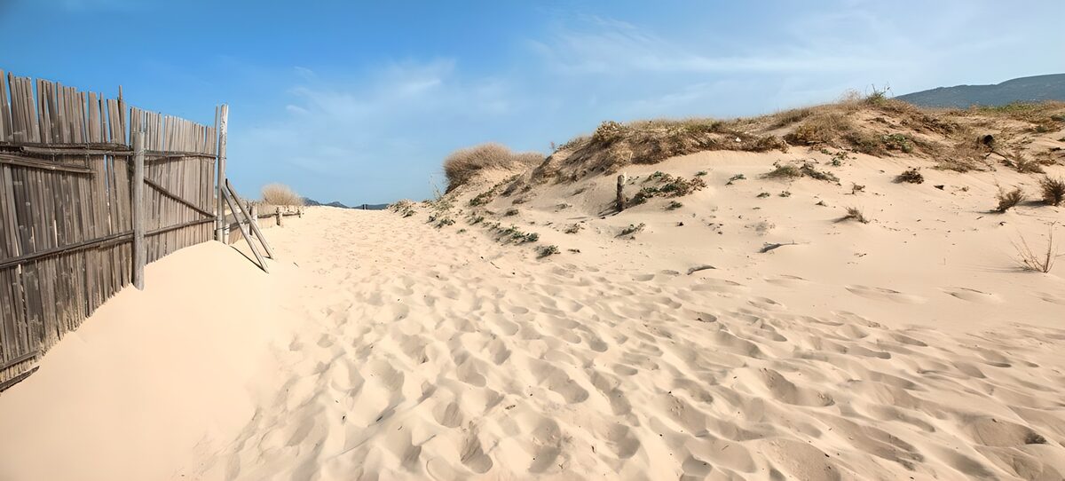 TP51916: Rustige zandweg naar de duinen