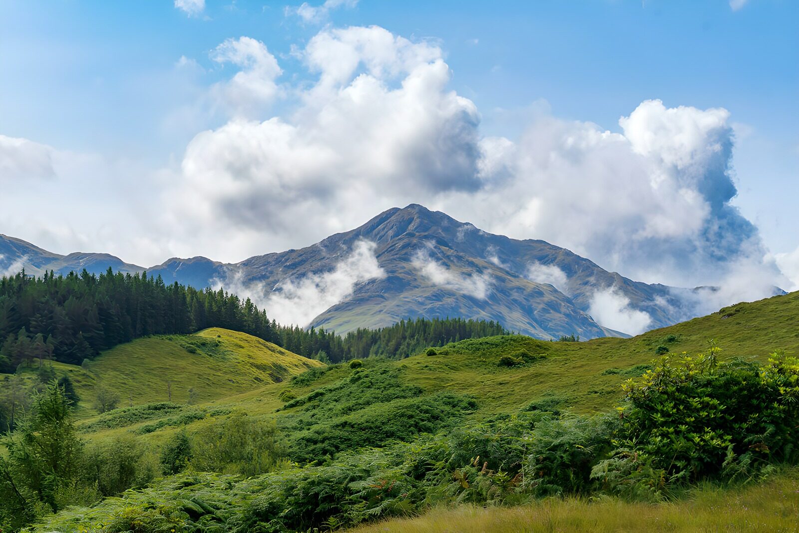 TP16438: Prachtig berglandschap met bossen