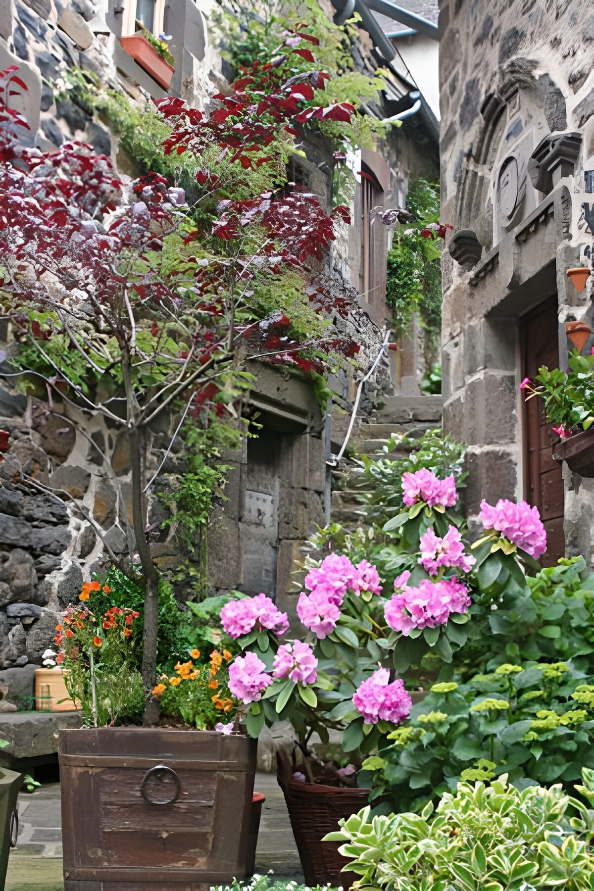 TP69240: Oude bloempotten met boompjes en oud huis