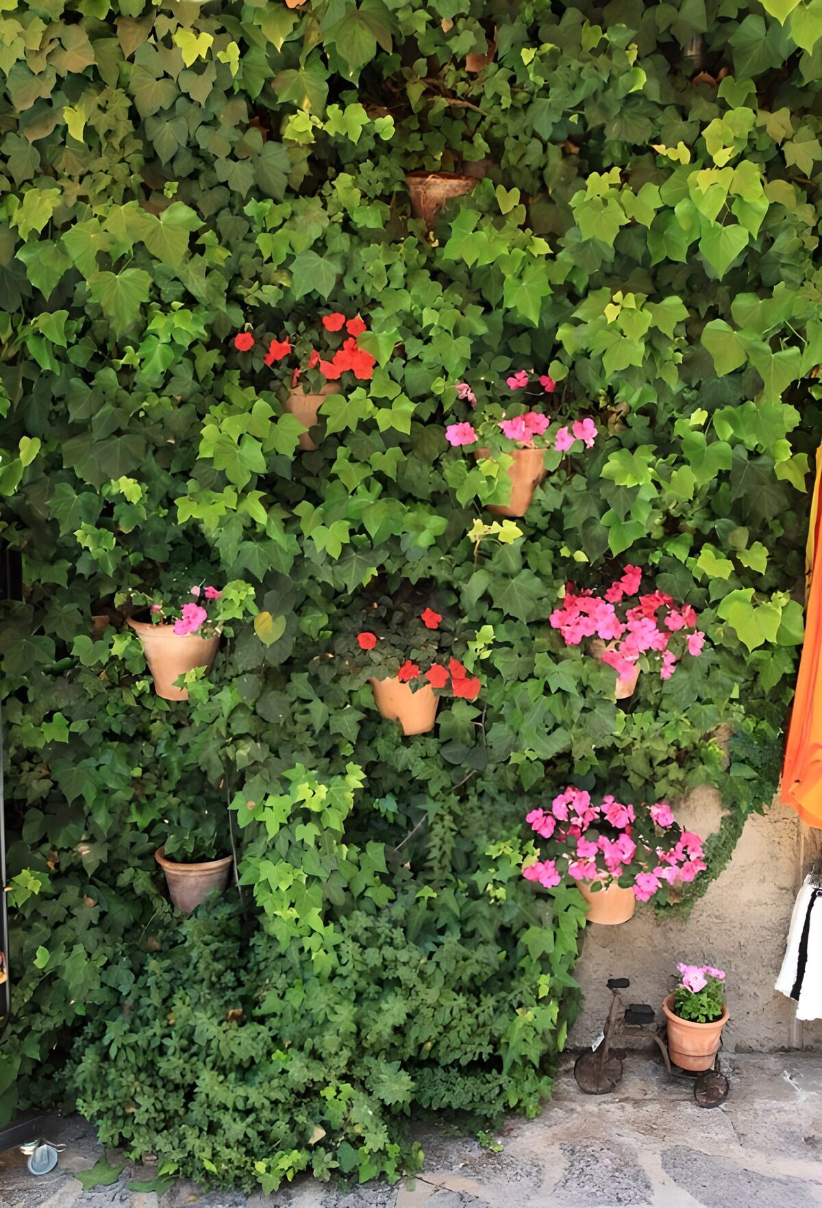 TP64005: Bloementuin aan een groene muur