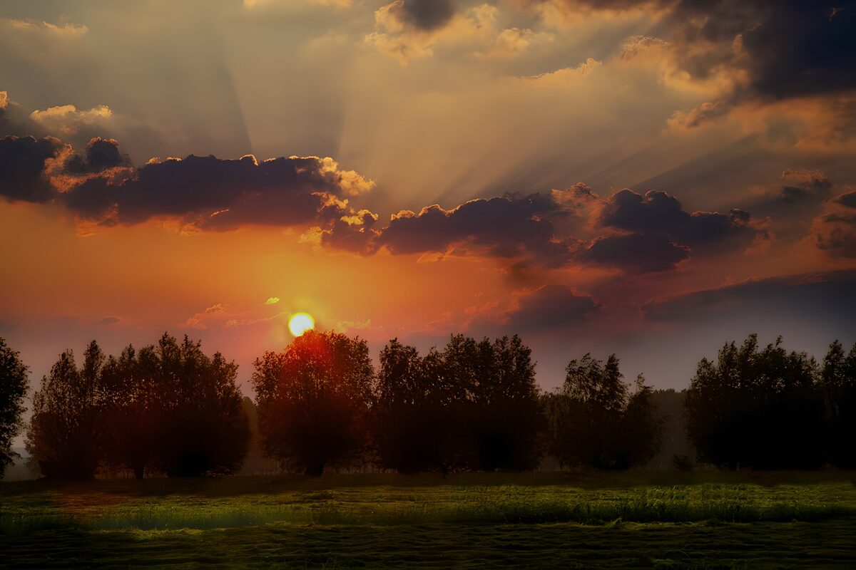 Prachtige zonsondergang bij bomen