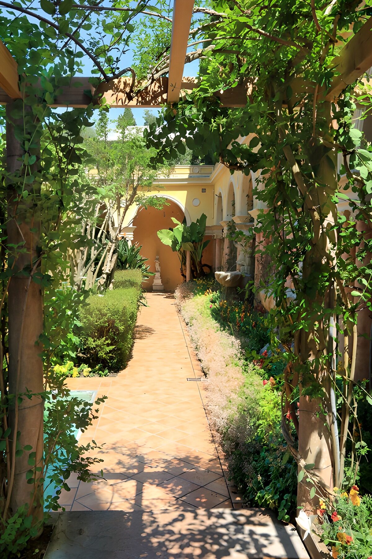 TP80396: Pergola met klimplanten begroeid