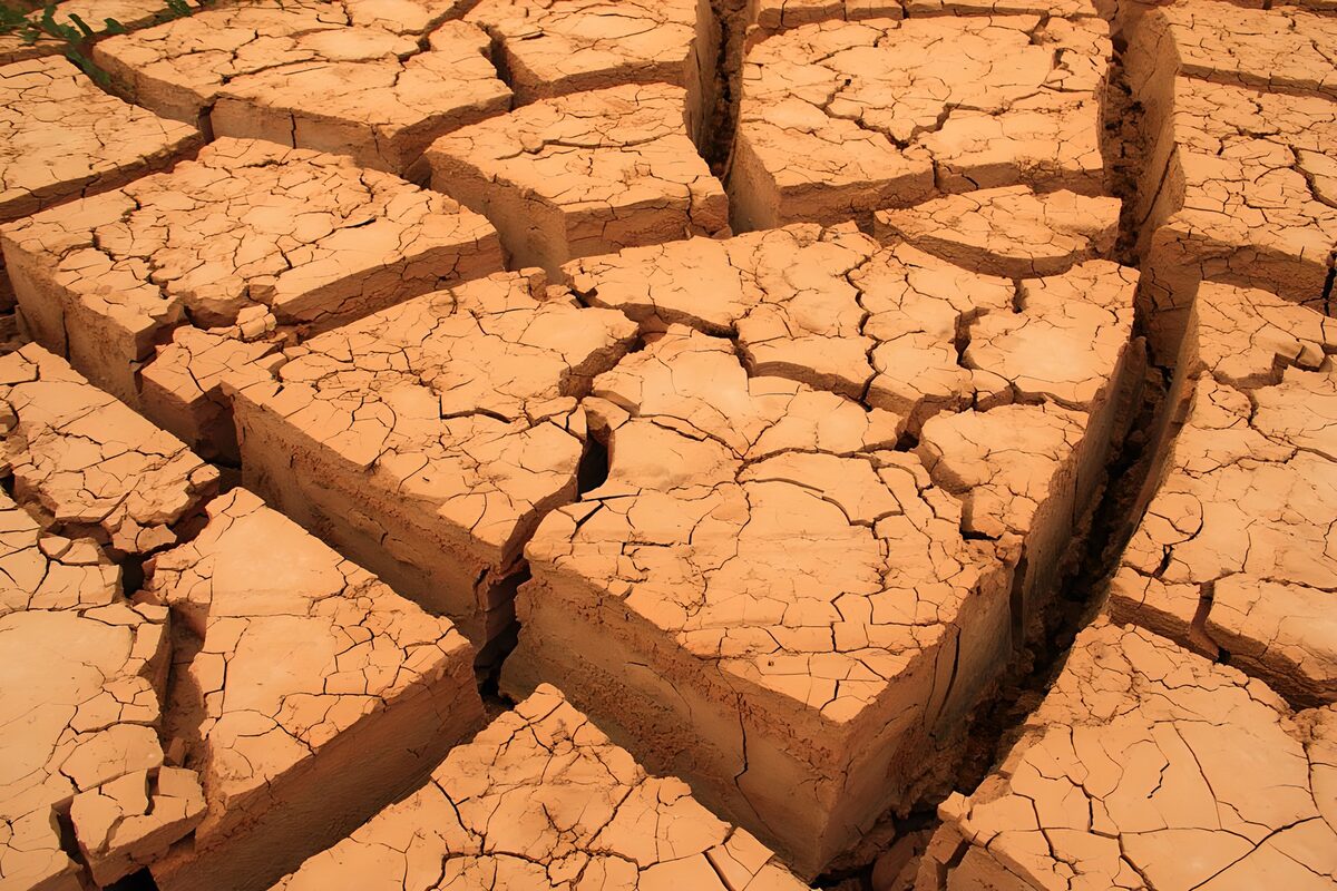 Droogte in gebarsten aarde