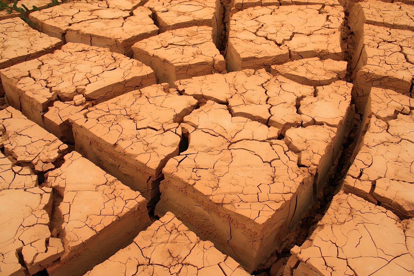 TP67392: Droogte in gebarsten aarde