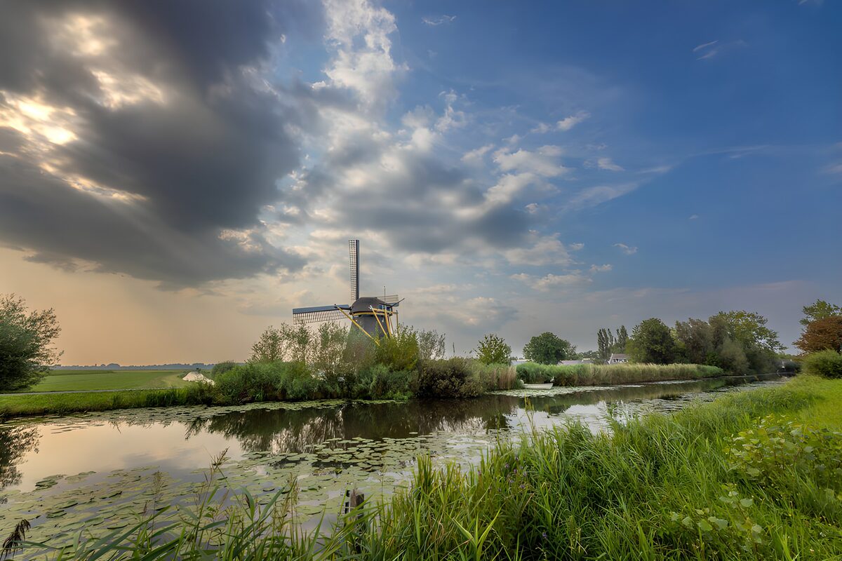 Zomerse molen bij het water