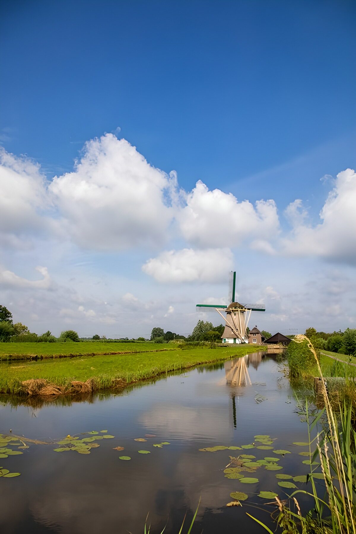 TP43313: Molens aan een rustige waterweg