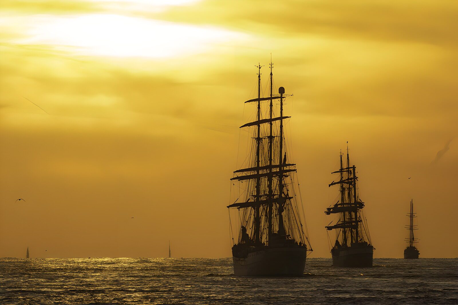 TP11186: Sail Amsterdam