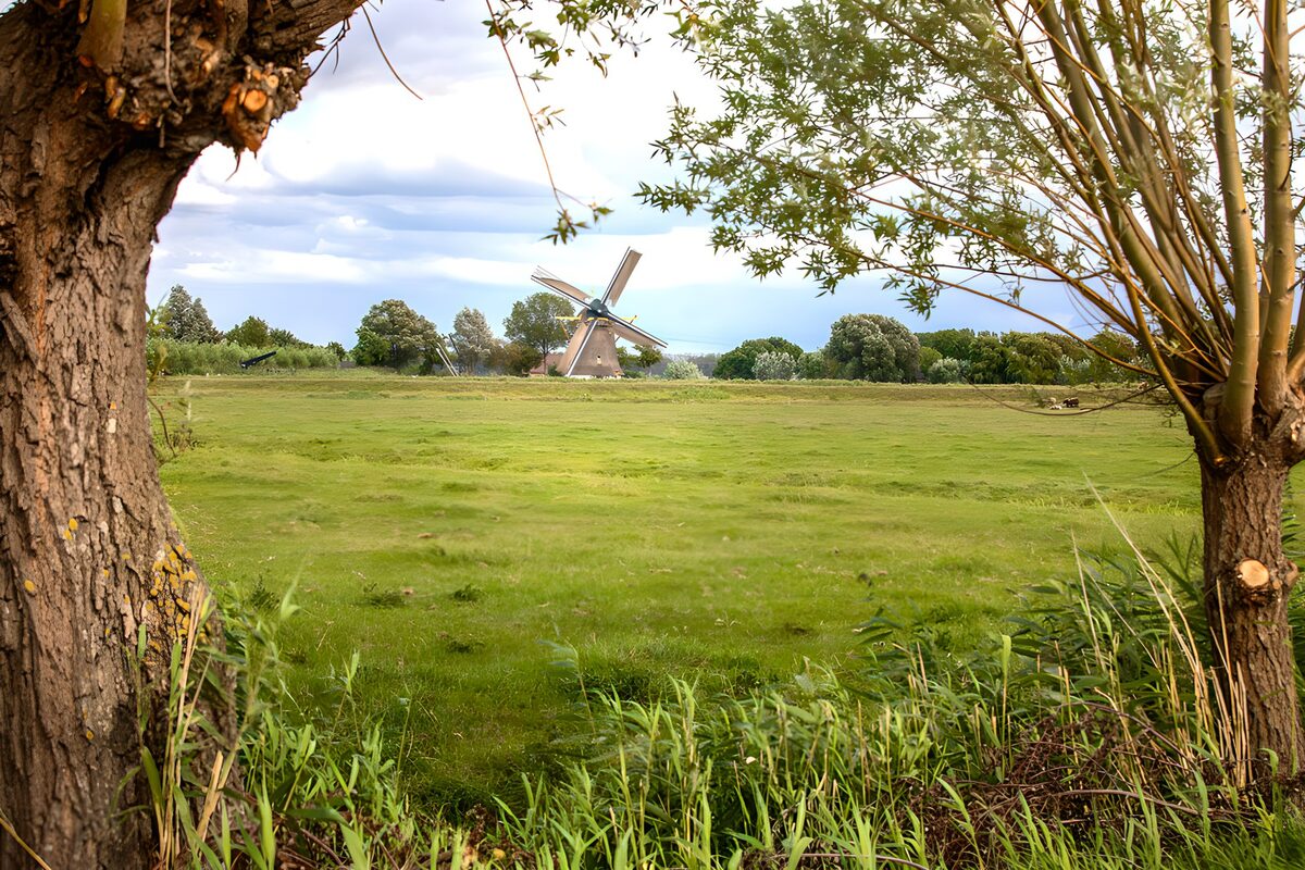 TP55230: Molen in het Groene Landschap