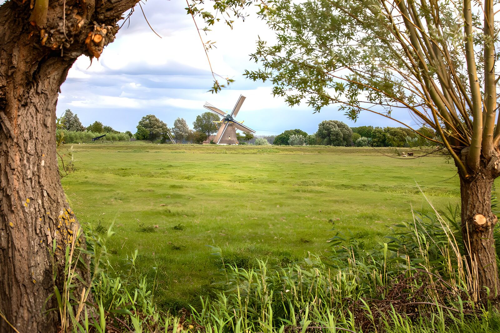 TP55230: Molen in het Groene Landschap