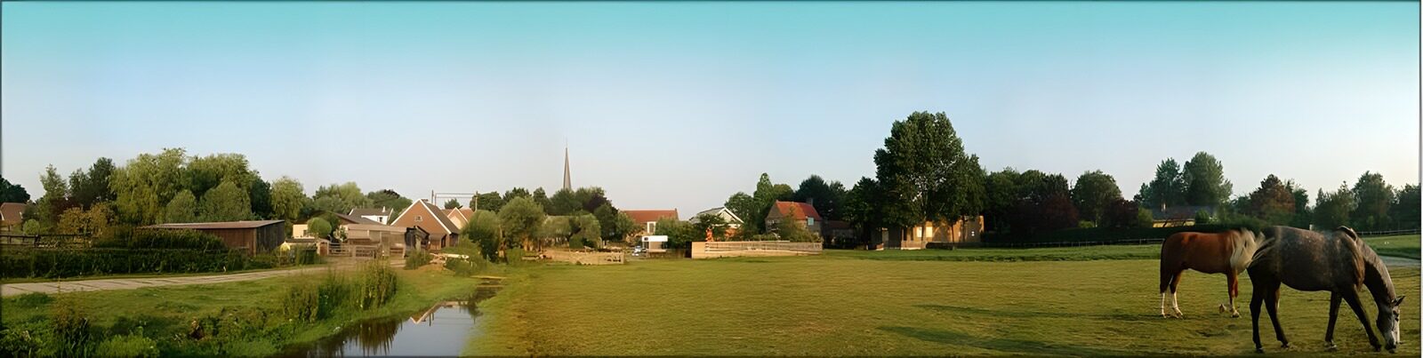TP25947: Hollandse Graslandschappen 8