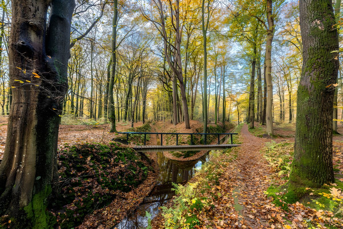 Prachtig herfstlandschap met brug