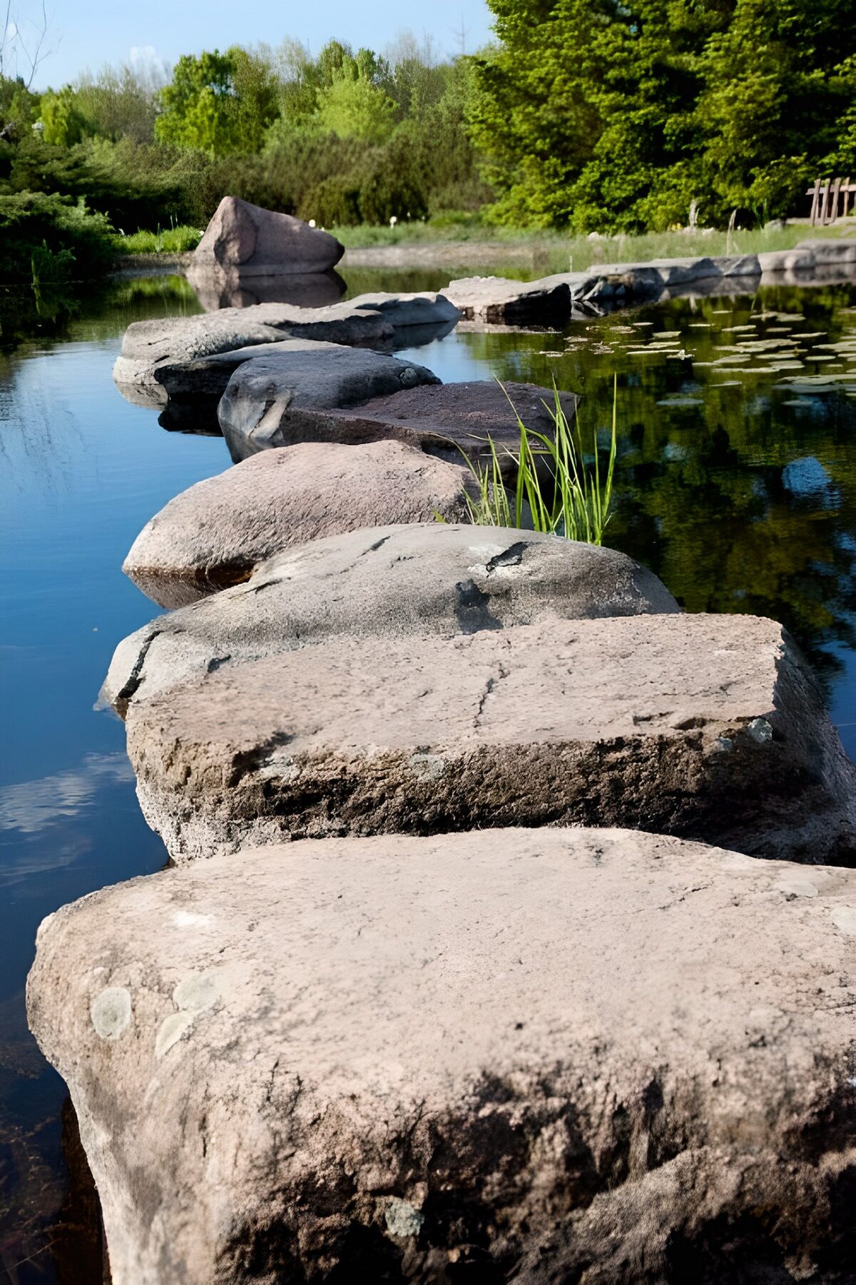 TP60068: Japanse tuin met loop pad van stenen