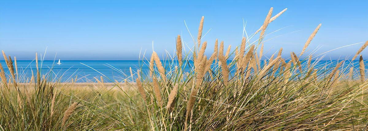 TP34199: uitzicht over duinen naar zee met zeilbootje.