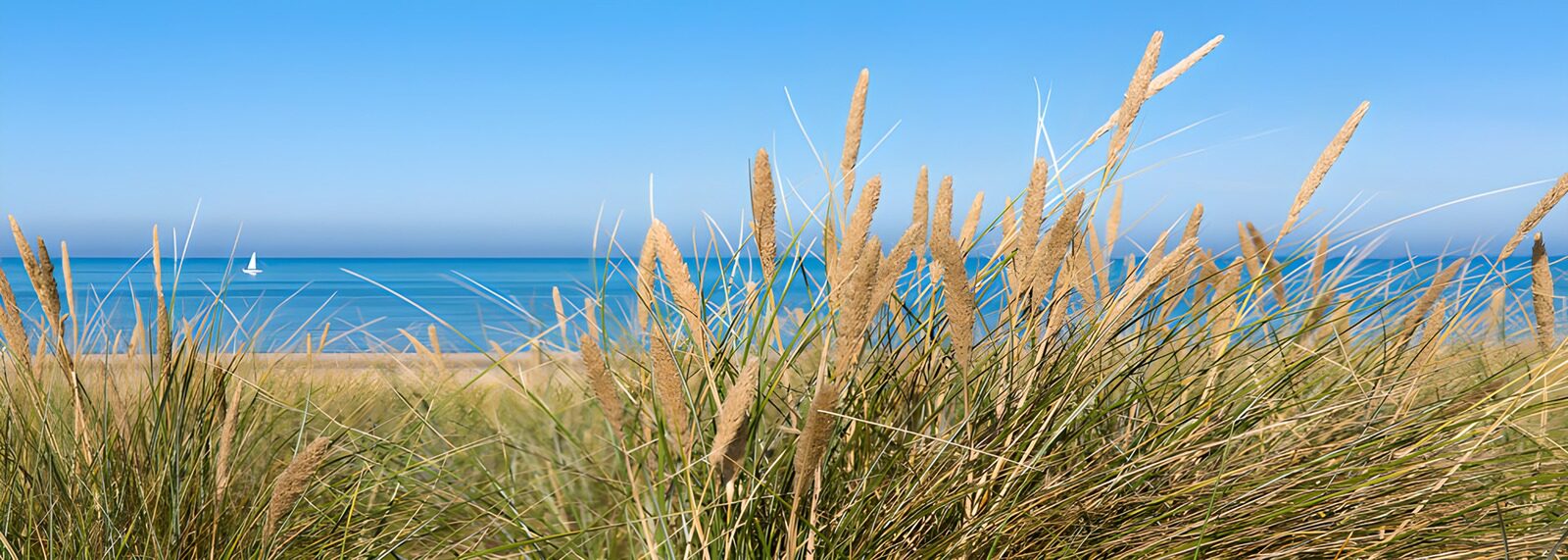 TP34199: uitzicht over duinen naar zee met zeilbootje.