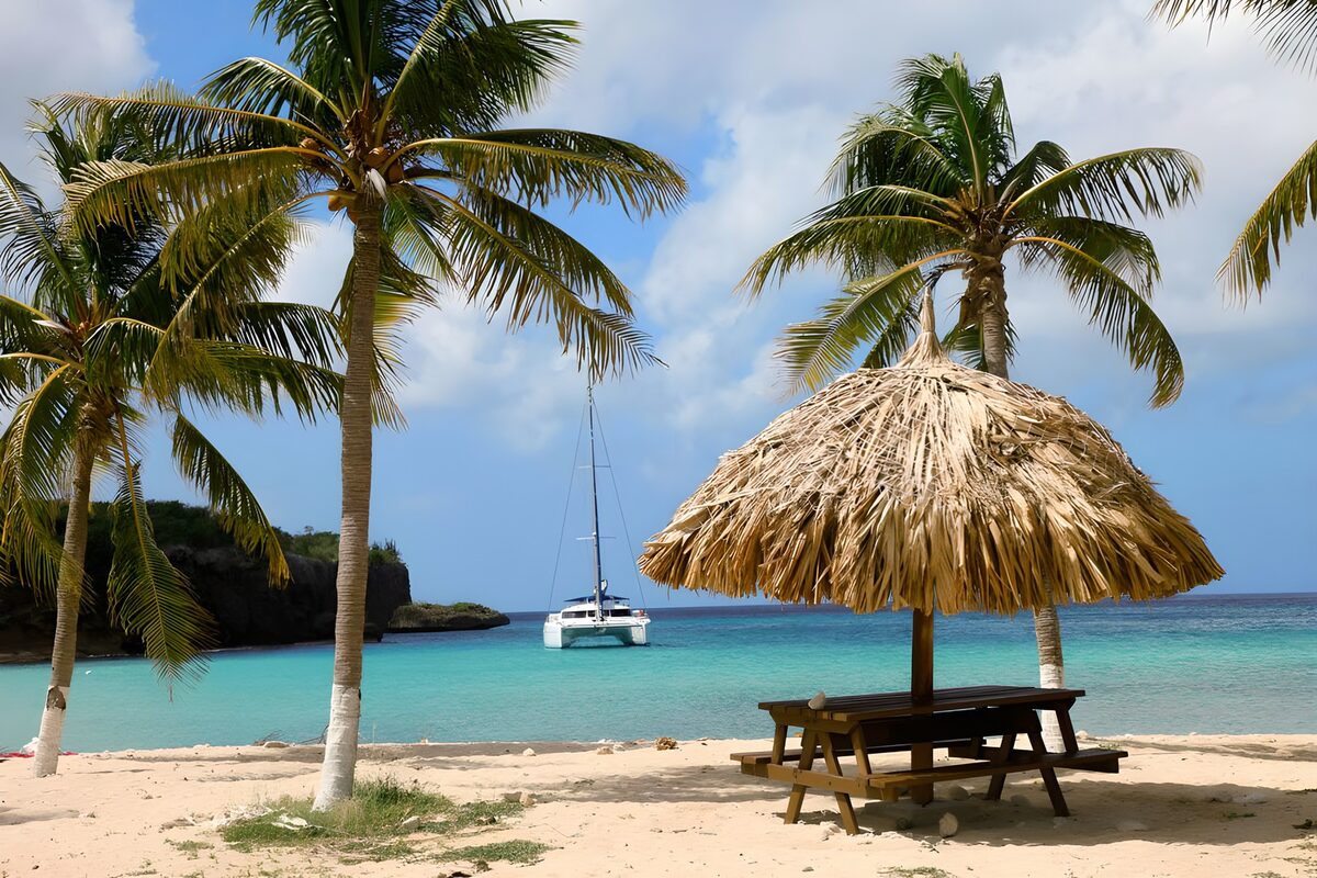 TP62589: Palmbomen bij strand met catamaran