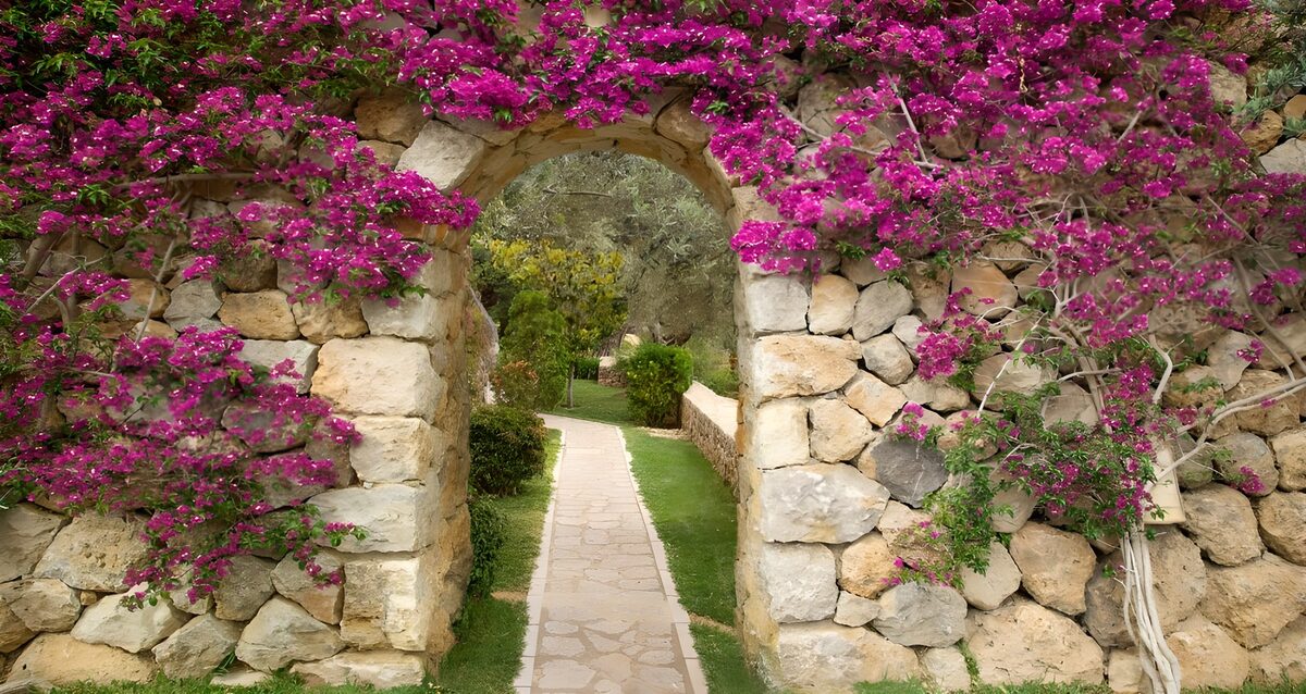 Poort met paarse bloemen in de tuin