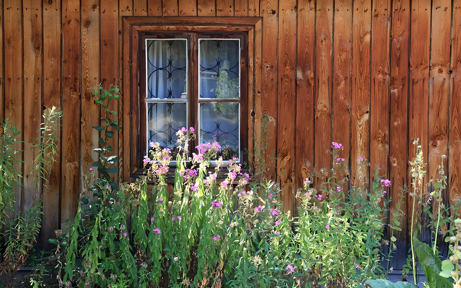 TP31174: Venster met bloemen en houten wand