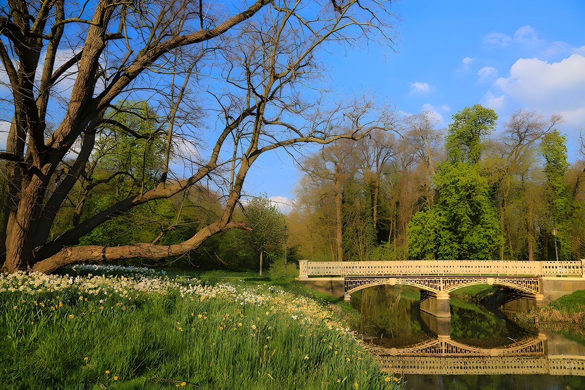 TP81723: Brug gespiegeld in het water